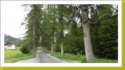 L246-Königsweg_02 L246-Königsweg_02