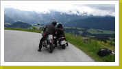 im Sommerauwald kurz vor Wegscheid_08 im Sommerauwald kurz vor Wegscheid_08