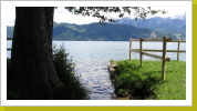 am Attersee_11 am Attersee_11