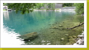 am Attersee_14 am Attersee_14