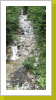 im Königsbergwald_04 im Königsbergwald_04