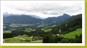 im Sommerauwald kurz vor Wegscheid_05 im Sommerauwald kurz vor Wegscheid_05