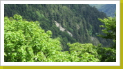 Col de la Schlucht_4 Col de la Schlucht_4