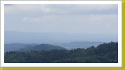 Schwarzwald im Sommer_3 Schwarzwald im Sommer_3