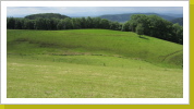 Schwarzwald im Sommer_2 Schwarzwald im Sommer_2