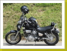 XV 1100 XV 1100