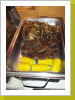 Steaks und Spearips Steaks und Spearips
