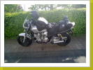 2010 2010