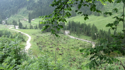 auf der 305 kurz vor dem Taubensee